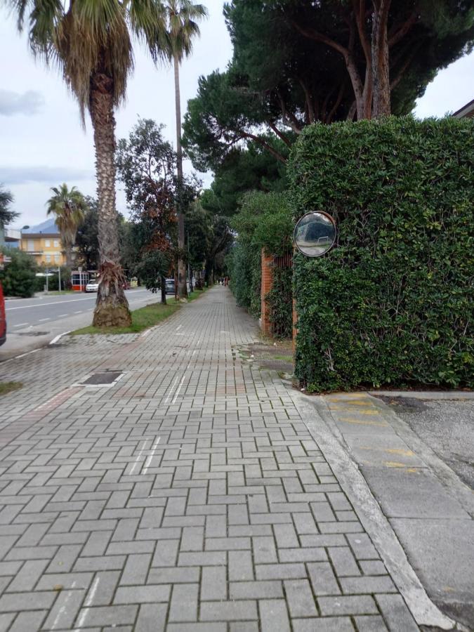 Bilocale Climatizzato A 850M Dalla Spiaggia Casa Katia Marina di Massa Eksteriør billede