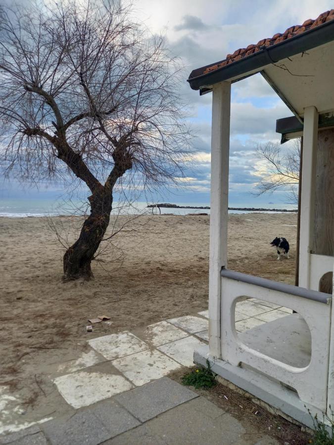 Bilocale Climatizzato A 850M Dalla Spiaggia Casa Katia Marina di Massa Eksteriør billede